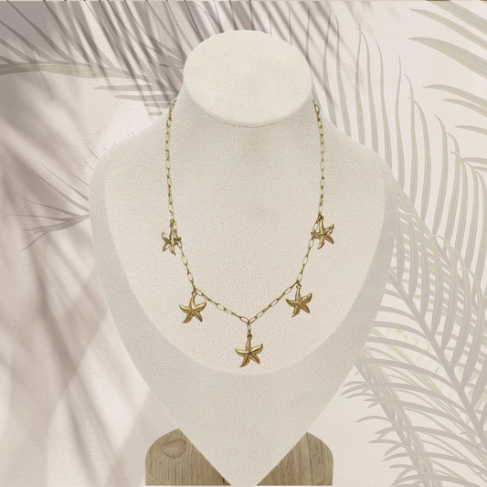 Starfish Coast
